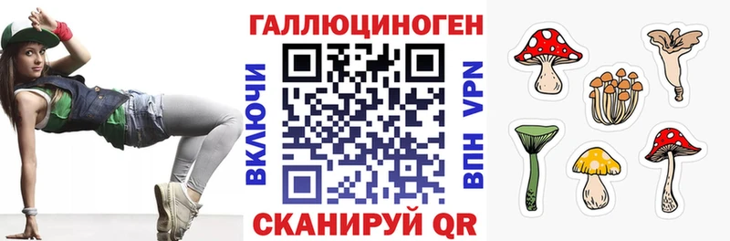 Галлюциногенные грибы MAGIC MUSHROOMS  OMG как войти  Богородицк  где купить наркотик 
